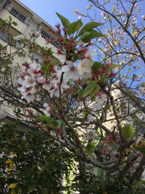 image0_8.jpeg