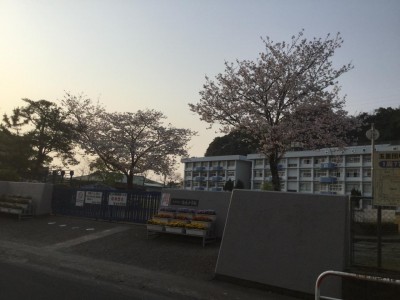 image1.jpeg