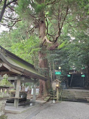 image0_15.jpeg