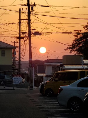 20220309_180941.jpg