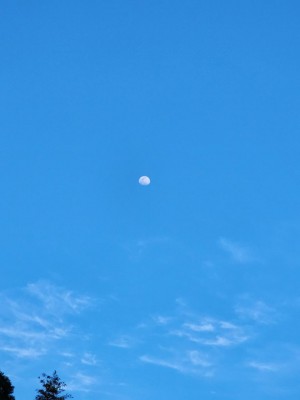 20230402_175503.jpg