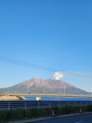 20241224_154144.jpg