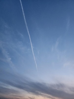 20250426_191421.jpg