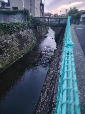 20250429_190934.jpg
