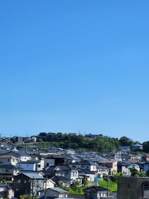 20250502_154925.jpg