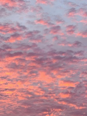 20250525_192203.jpg
