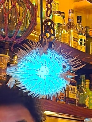 20250531_222543.jpg