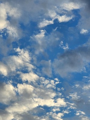 20250606_185715.jpg
