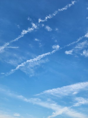 20250607_172715.jpg