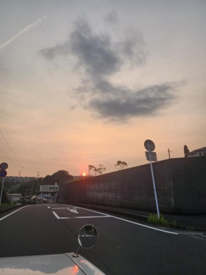 20250815_183717.jpg
