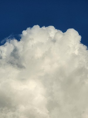 20250909_175449.jpg