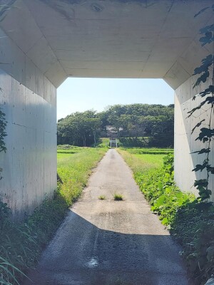 20251005_143359.jpg