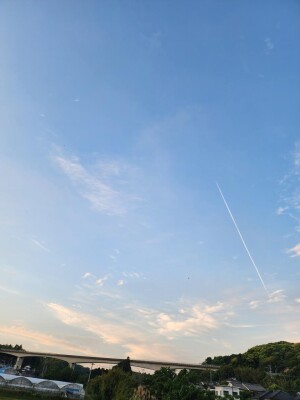 20260505_184558.jpg