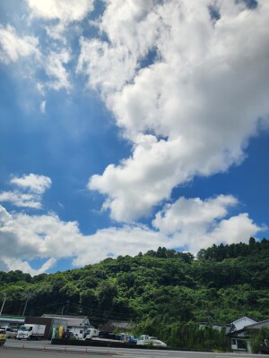 20260720_102737.jpg